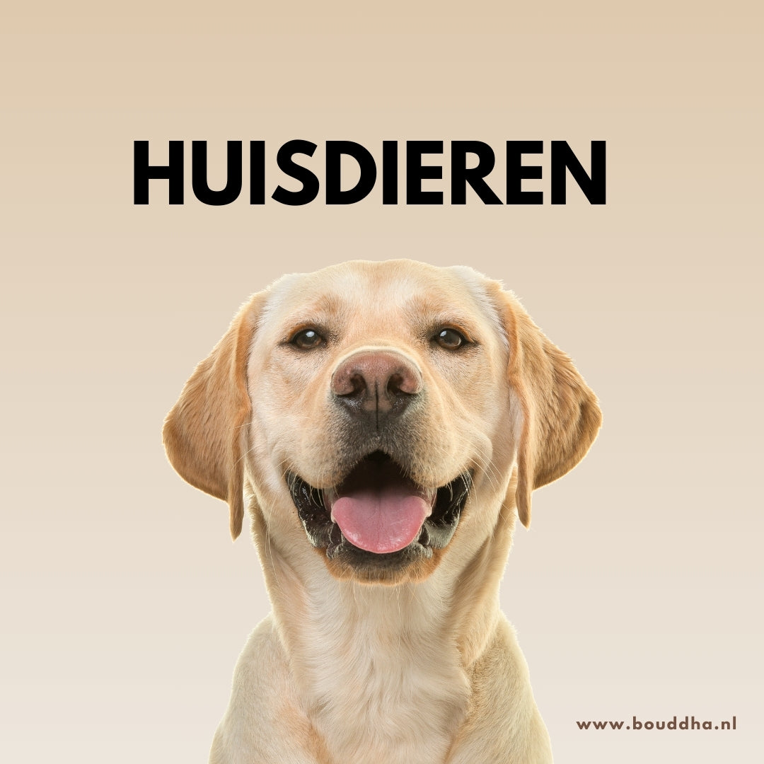 Huisdieren